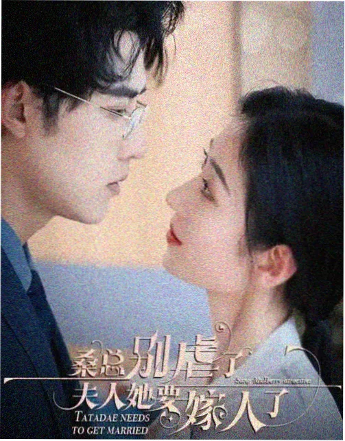 老宅档案 剧集封面